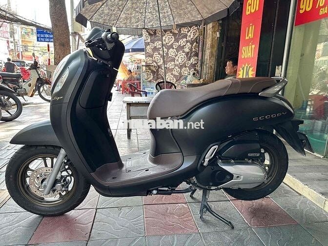 scoopy 2024 (hỗ trợ góp)