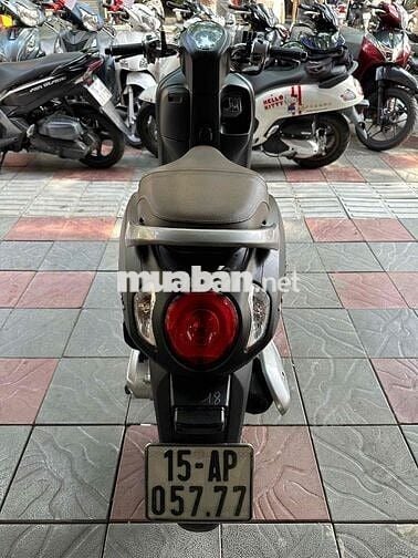 scoopy 2024 (hỗ trợ góp)