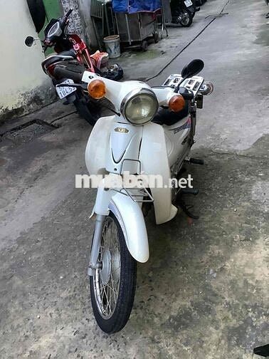 Cub 50 màu trắng cho học sinh đi học