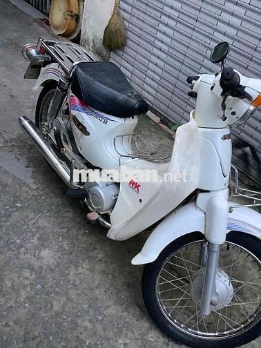 Cub 50 màu trắng cho học sinh đi học