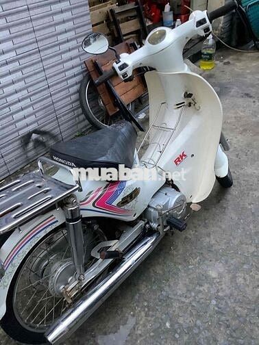 Cub 50 màu trắng cho học sinh đi học