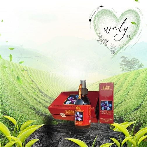 Wely chuyển nhượng mô hình: Đại lý thông minh - Tiêu dùng tái sinh