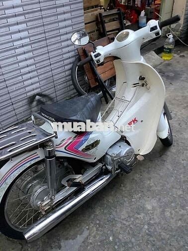 Cub 50 màu trắng cho học sinh đi học