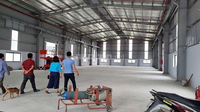 Bán kho xưởng 1.200m² KCN Đức Hòa 3, Long An, trạm 250kVA, giá: 20 tỷ