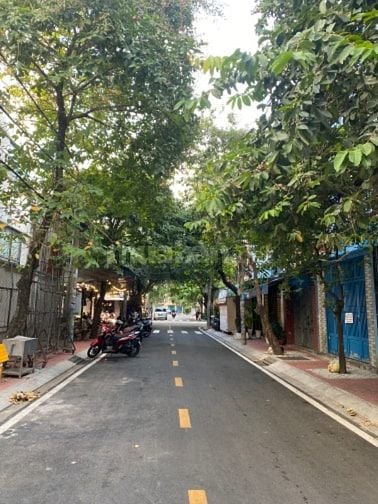 Cần cho thuê nhà đường 232 cao lỗ đường 14m dt: 4x14m, 3 lầu st