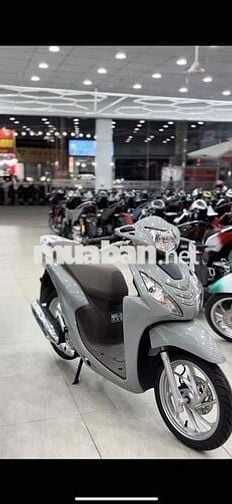 vision 2025