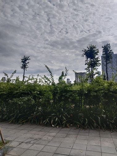  CHÍNH CHỦ NhỜ BÁN GẤP Mặt Phố MỸ ĐÌNH PEARL: 180m2, MT 30m, 6 Tầng Lô