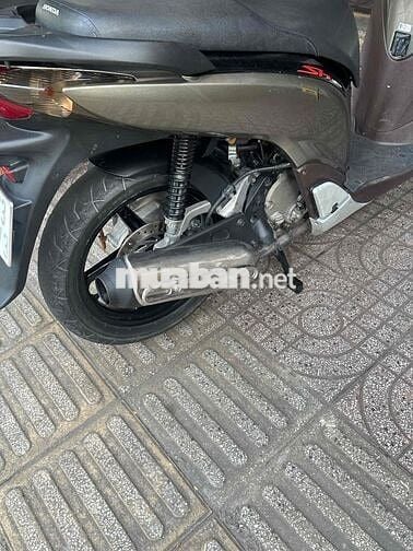 Sh mẫu ý 5002 chính chủ bstp