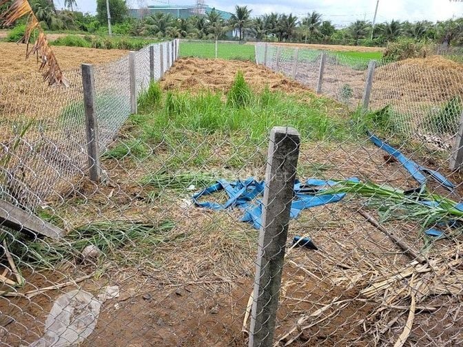 👉 Cần bán gấp đất thổ cư 5x23m Long Khê, gần KCN Cầu Tràm, chỉ 1.25