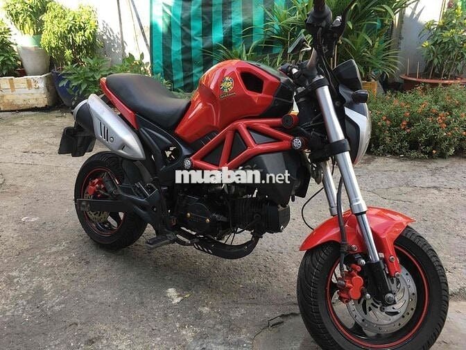 moto ducati mini bstp