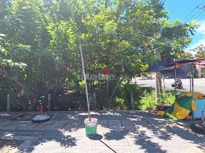 Cần bán 6 lô đất đẹp liền kề Khu phố Hải Sơn, TT Phước Hải, Huyện Đất 