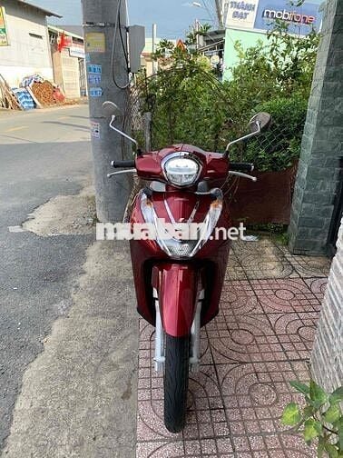 SH Mode 125 2024 lướt như mới 65HA chính chủ