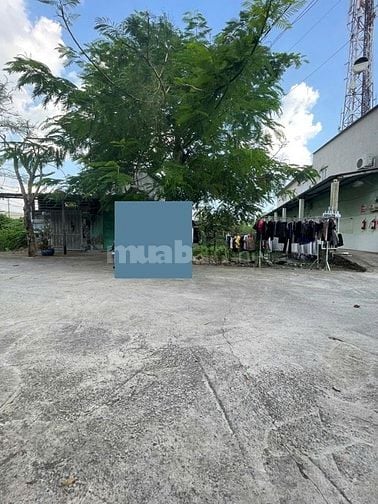 Bán nhà 4 tầng 8x20m full thổ cư, 10 phòng đang cho thuê, Nguyễn Văn