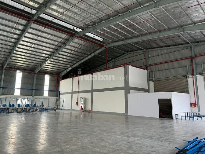 Cho thuê kho 2200m Nguyễn Hữu Trí – Bến Lức | Mới 100%, PCCC tự động