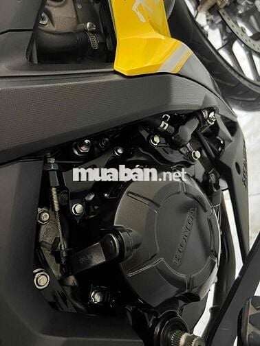 sonic cọp lướt 11 ngàn km