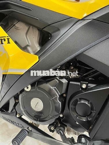 sonic cọp lướt 11 ngàn km