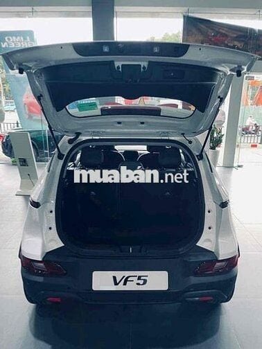 VinFast VF5 2025 TT 100tr - Sẵn xe giao tận nhà