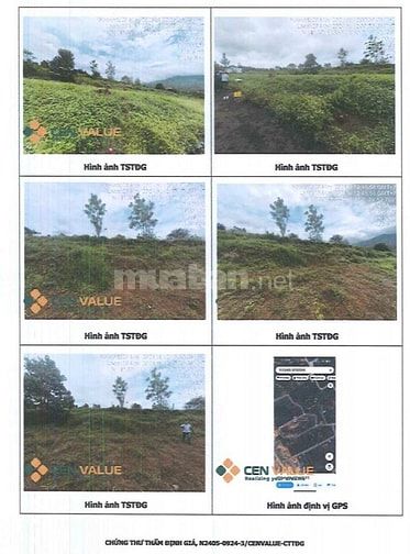 BÁN ĐẤU GIÁ TS VIB L8_P. LỘC SƠN, LÂM ĐỒNG (NAY LÀ P. B'LAO, LÂM ĐỒNG)