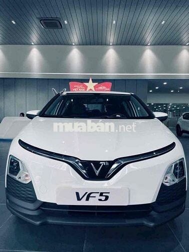 VinFast VF5 2025 TT 100tr - Sẵn xe giao tận nhà