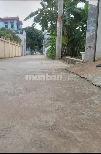 chính chủ bán 65m tổ 9 quang minh đất vuông đẹp đâu tư xây ở đều đẹp