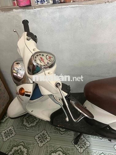 xe cần bán