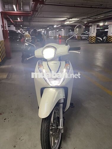 Sh mode mới nguyên biển 29