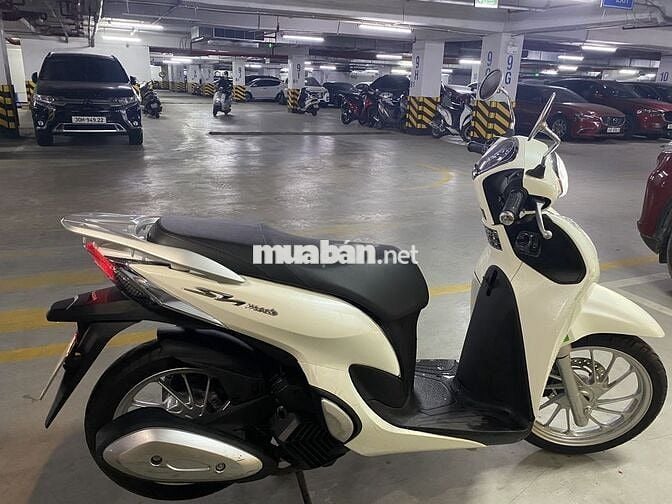 Sh mode mới nguyên biển 29