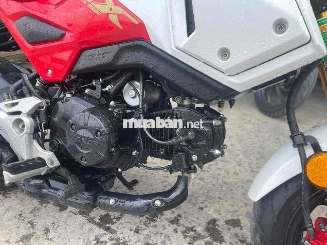 msx 2020 nhập thái