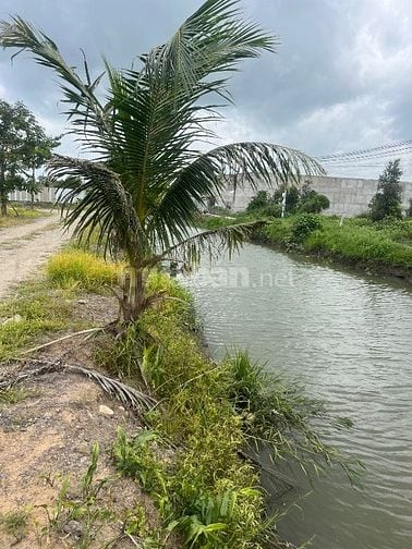 Cần bán lô đất ngay trung tâm thị trấn Đức Hoà 125m2 1ty2 tl
