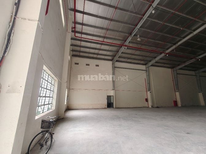 Cho thuê kho 680m2-1120m2 - 2500m2 KCN Cát Lái, phường Cát Lái, Q.2