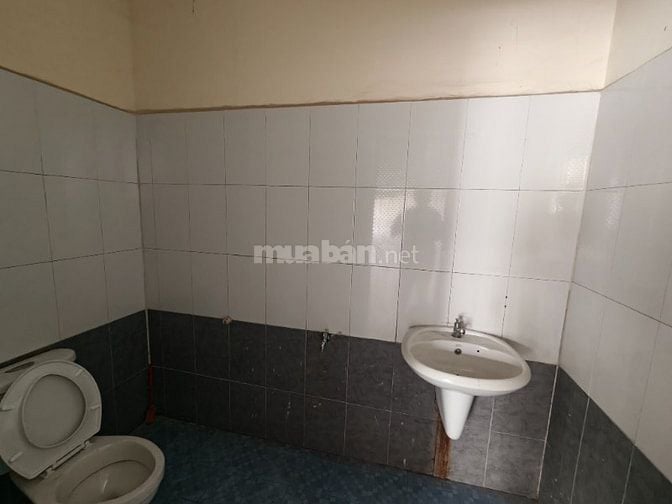 Cho thuê kho 680m2-1120m2 - 2500m2 KCN Cát Lái, phường Cát Lái, Q.2