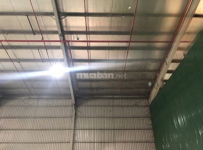 Cho thuê kho 680m2-1120m2 - 2500m2 KCN Cát Lái, phường Cát Lái, Q.2