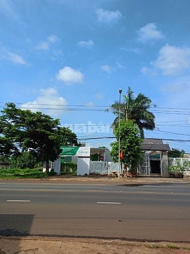 Cho thuê đất mặt tiền kinh doanh
