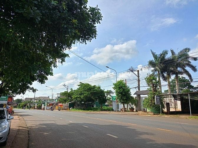 Cho thuê đất mặt tiền kinh doanh