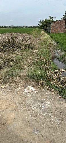 Đất huyện chương Mỹ , xã phung châu 12500 m