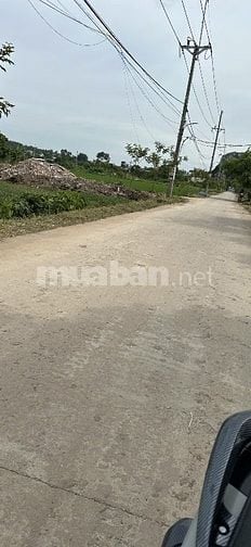 Đất huyện chương Mỹ , xã phung châu 12500 m