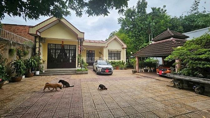 Bán biệt thự vườn P. Trung Dũng, Biên Hòa: 1.197m2, giá 21 tỷ.
