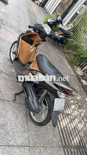 Mio Utimo bánh mâm biển thành phố