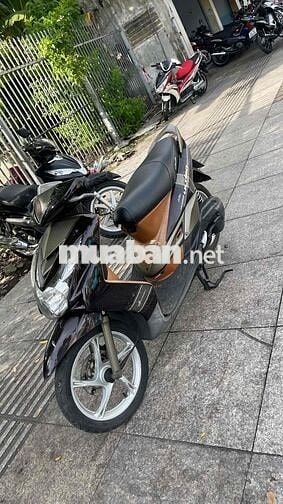 Mio Utimo bánh mâm biển thành phố