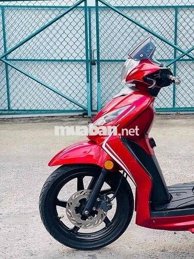 SYM shark biển tp xe đẹp keng