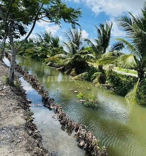 Còn lô đất nằm ngay mặt tiền đường vành đai 4, cách chợ Đức Hòa 500m