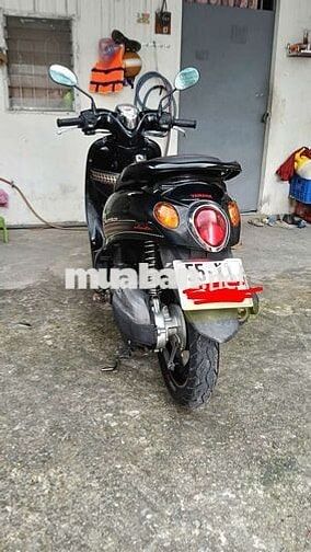 Xe nhập nguyên con thái lan