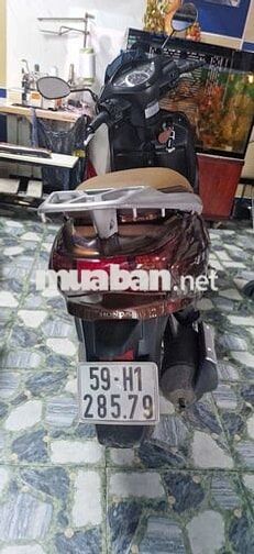 Xe cọp chùm mền