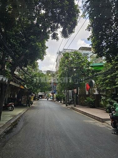 Cho thuê nhà mặt tiền Lạc Long Quân, P.8 Q.Tân Bình giá 15tr