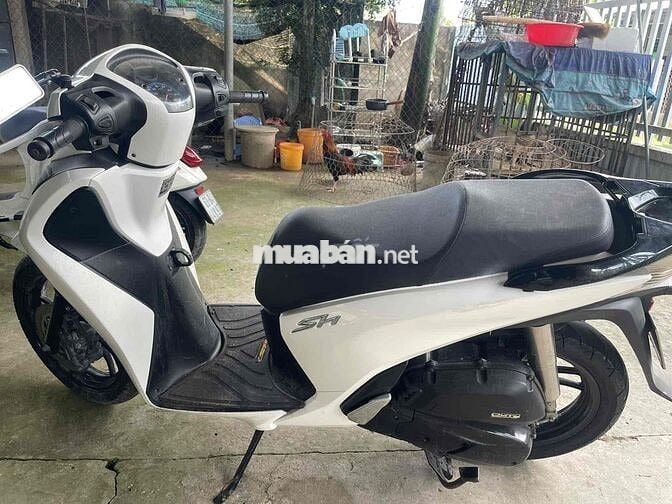 Sh 150