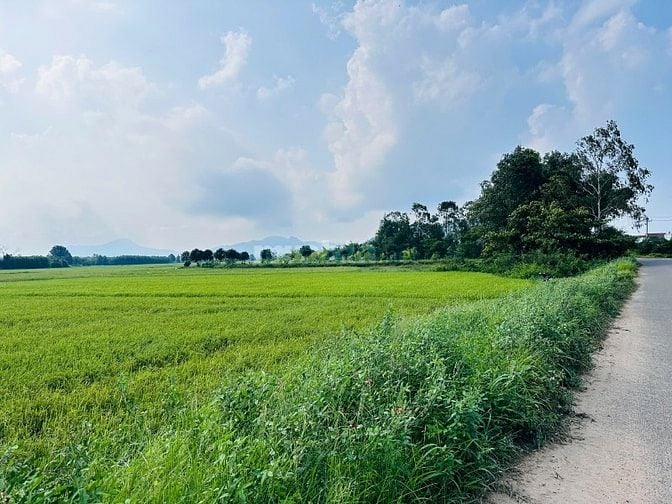 Ngộp Bank 35x49(1580m2) Nguyễn Minh Châu Tân Tiến Gần Biển Giá Cực Rẻ