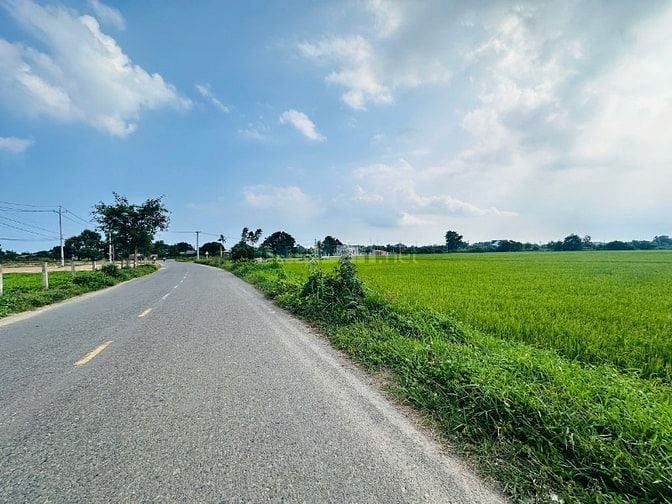 Ngộp Bank 35x49(1580m2) Nguyễn Minh Châu Tân Tiến Gần Biển Giá Cực Rẻ