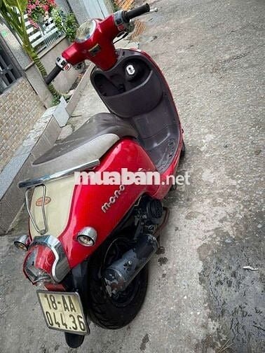 XE FIGIORMON Giấy tờ đầy đủ