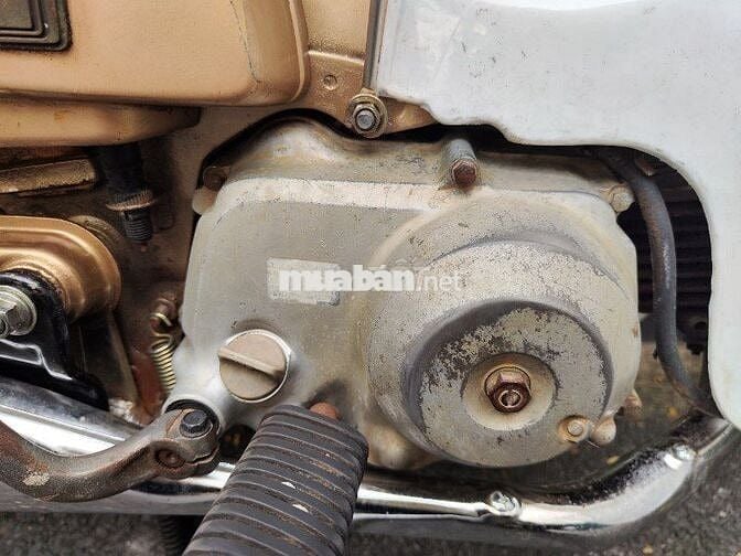 CUB 50 ĐÈN VUÔNG HOK CẦN BẰNG LÁI
