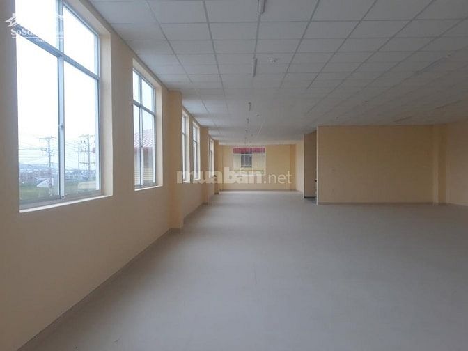 Bán nhà xưởng nằm trong KCN Tân Đô, Đức Hòa, Long An 160,65 tỷ